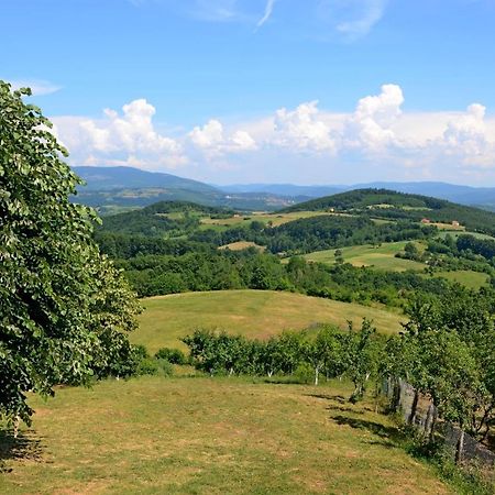 Vila Lek Za Dusu Despotovac Exteriér fotografie
