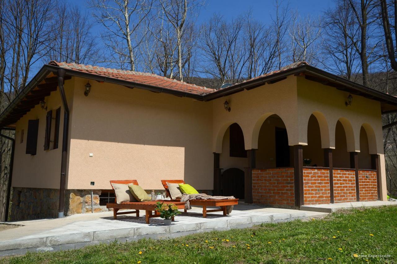 Vila Lek Za Dusu Despotovac Exteriér fotografie