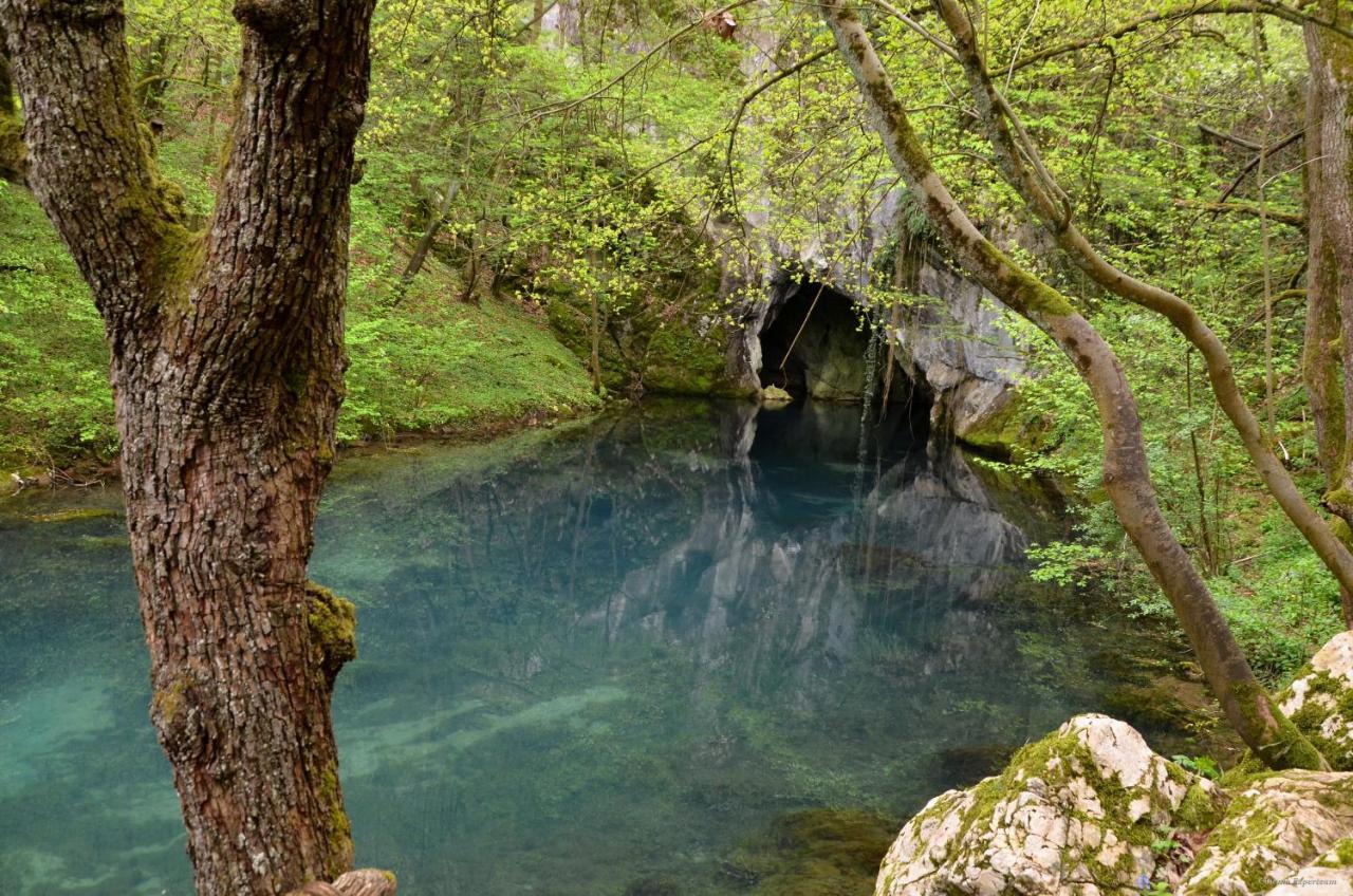 Vila Lek Za Dusu Despotovac Exteriér fotografie